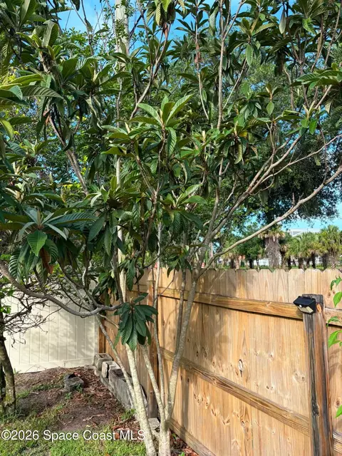 Other - 1835 Longleaf Rd, Cocoa, FL 32926 photo 11 of 14