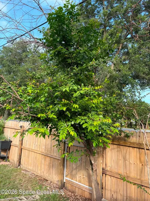 Other - 1835 Longleaf Rd, Cocoa, FL 32926 photo 12 of 14