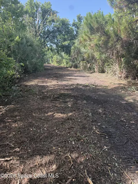 4690 Rayburn Rd, Cocoa, FL 32926 photo 18