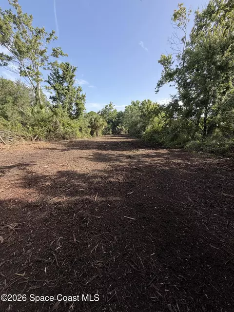 4690 Rayburn Rd, Cocoa, FL 32926 photo 16