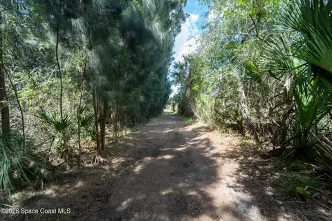 Other - 6715 Whispering Pines Ln, Grant, FL 32949 photo 12 of 18