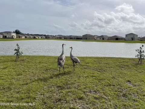 View/Area - 976 Trinity St, Rockledge, FL 32955 photo 3 of 3