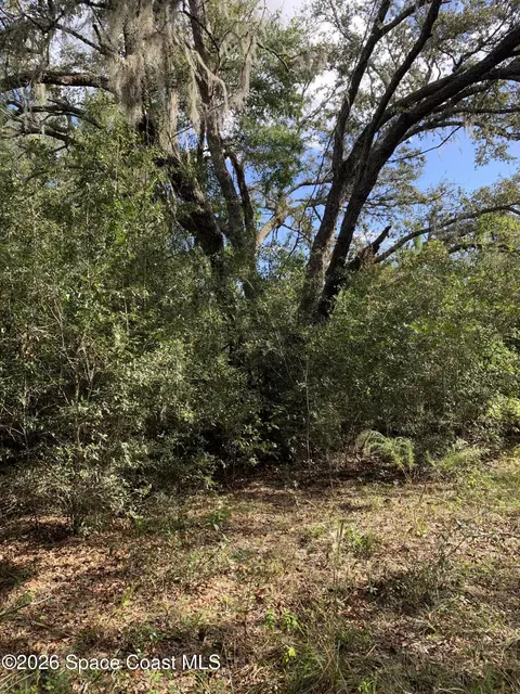 0 Co Rd 337, Bell, FL 32619 photo 2