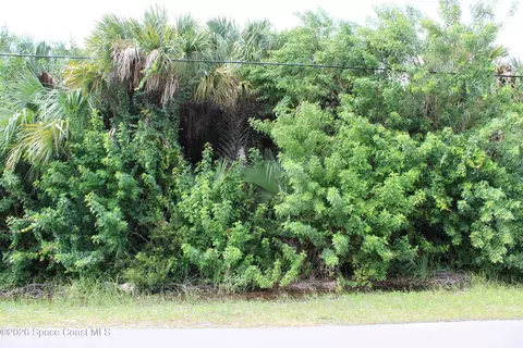 3138 Framingham Ave SW, Palm Bay, FL 32908