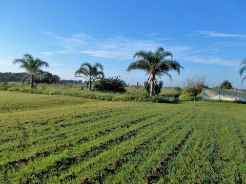 4675 W Micco Rd, Micco, FL 32976 photo 1