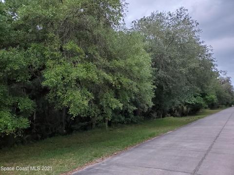 5520 Canvasback Dr, Mims, FL 32754 photo 1