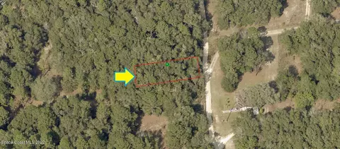 915 Parkview Ave, Inverness, FL