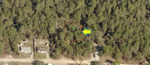 2807 Hillery St, Inverness, FL 34452