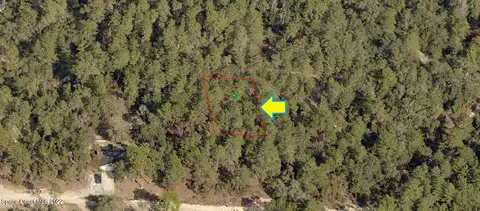 2713 Hillery St, Inverness, FL 34452