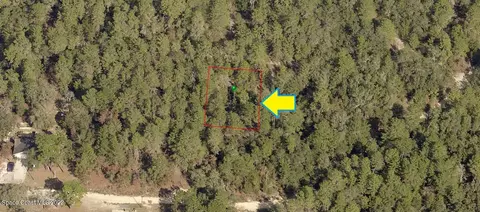 2711 Hillery St, Inverness, FL 34452