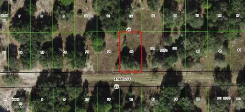 2410 Adams St, Inverness, FL