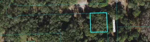 0 NE 116th Ter, Fort Mc Coy, FL 32134