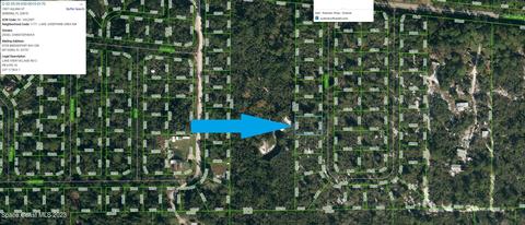 1997 Huling St, Sebring, FL 33875 photo 1