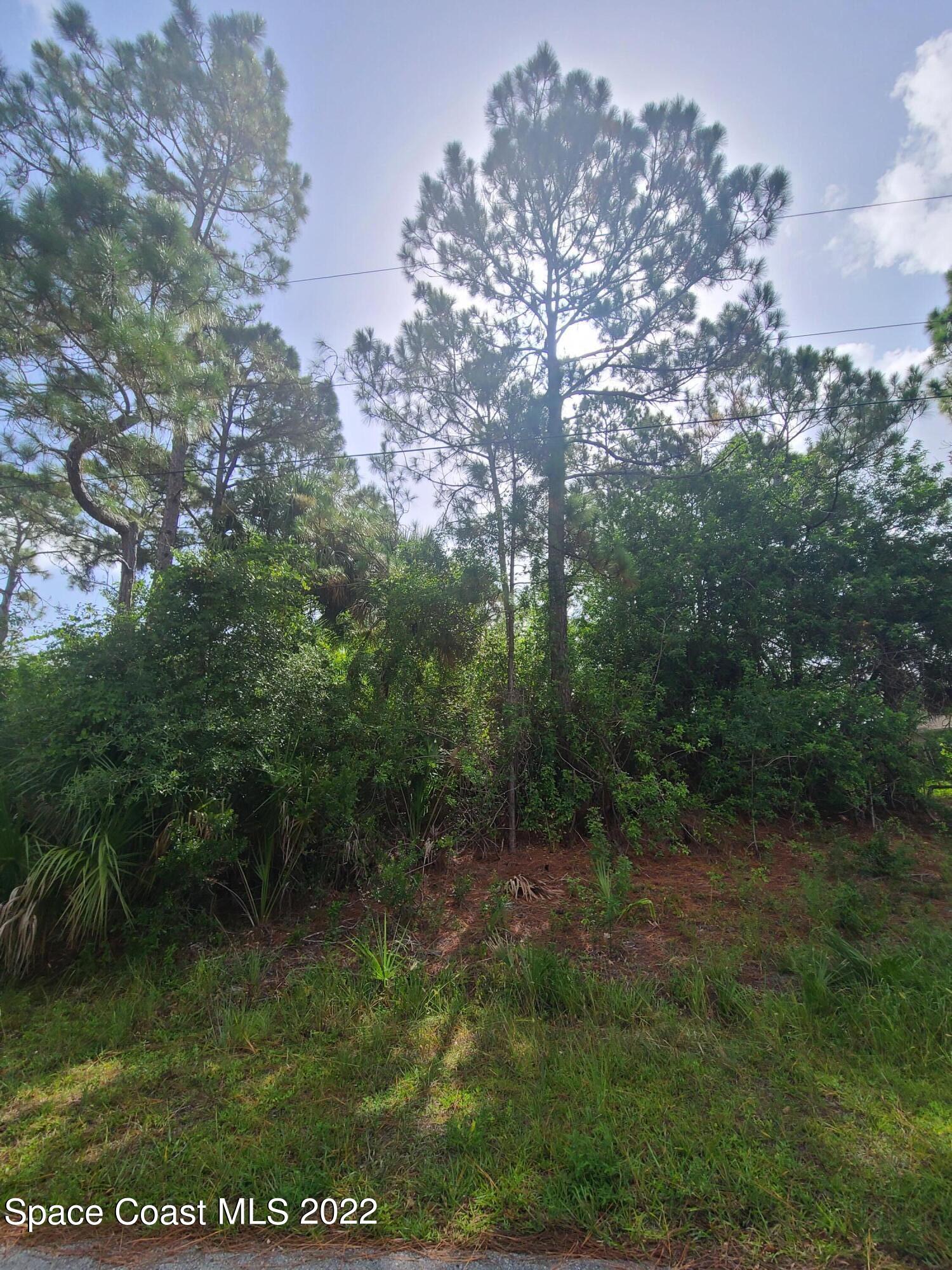 1077 HAMMACHER AVE SW  