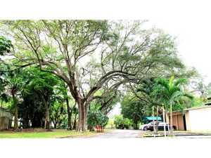 8374 E Dixie Hy, Miami, FL 33138 photo 1
