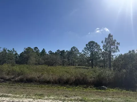 15942 NW 312th St, Okeechobee, FL 34972