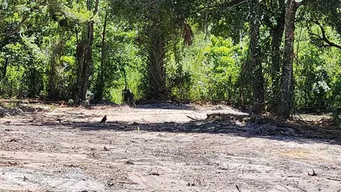 18884 NW 282nd St, Okeechobee, FL 34972 photo 3