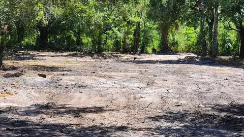 18884 NW 282nd St, Okeechobee, FL 34972 photo 5