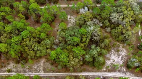 0 SW 152 Ter, Ocala, FL 34481