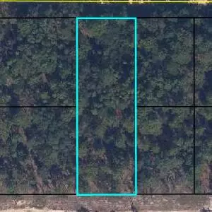6183 Juilliard Ave, Keystone Heights, FL 32656