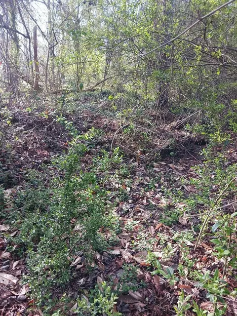 000 158 Ln, Dunnellon, FL 32024