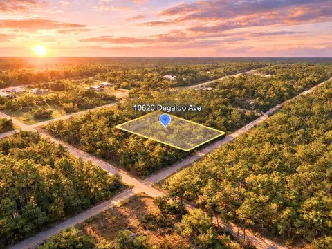 10620 Delgado Ave, Hastings, FL 32145