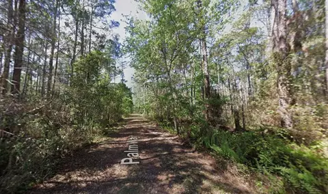 418 Palm Way, Georgetown, FL 32139 photo 2