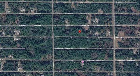 418 Palm Way, Georgetown, FL 32139 photo 3
