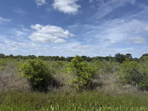 19369 NW 300th St, Okeechobee, FL 34972 photo 2