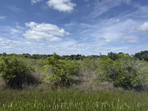 19369 NW 300th St, Okeechobee, FL 34972 photo 8