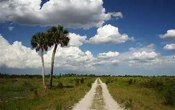 15575 NW 296th St, Okeechobee, FL 34972 photo 7
