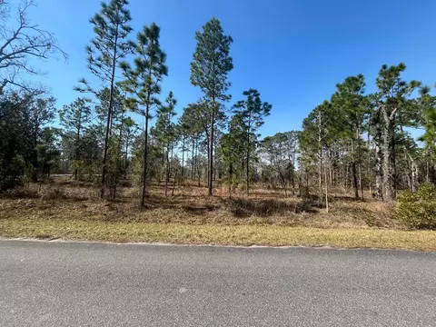 tbd NW Water Oak Ave, Dunnellon, FL 34431