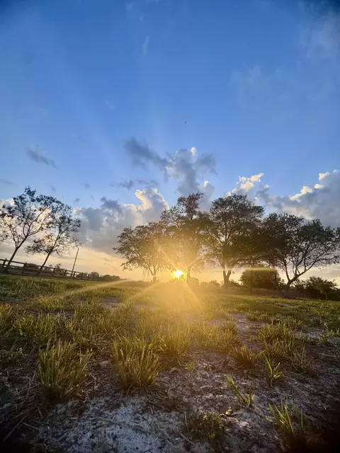 14769 NW 244th St, Okeechobee, FL 34972 photo 3