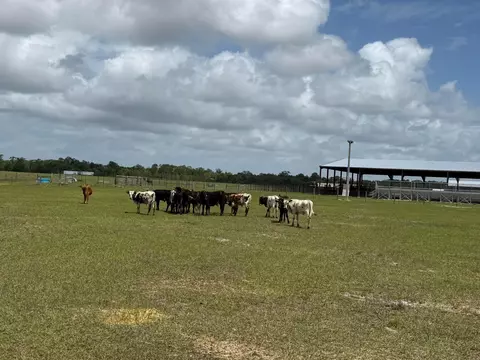 33700 Hwy 441, Okeechobee, FL 34972 photo 71