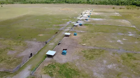 33700 Hwy 441, Okeechobee, FL 34972 photo 11