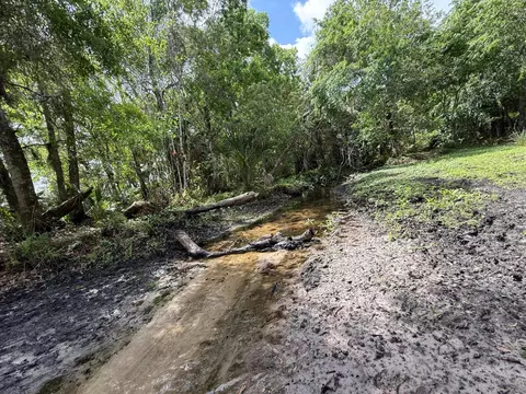 33700 Hwy 441, Okeechobee, FL 34972 photo 63