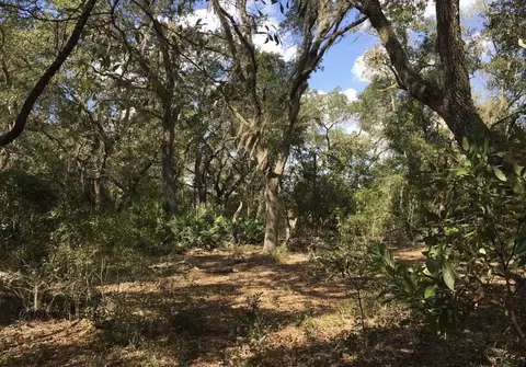 8922 E Gulf To Lake Hwy, Inverness, FL 34450