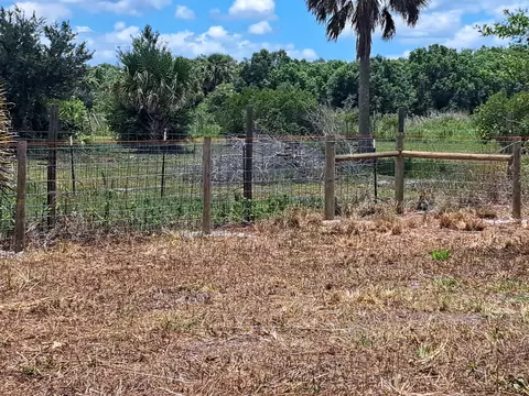 20639 NW 300th St, Okeechobee, FL 34972 photo 6