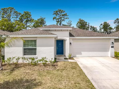 1312 Peach Creek Dr, Osteen, FL 32764