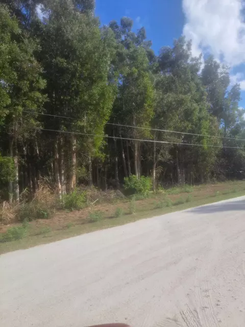 14845 62nd Ct N, The Acreage, FL 33470