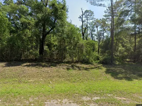 1443 E Odin Dr, Dunnellon, FL 34434