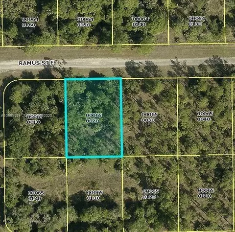 1238 Ramus St E, Lehigh Acres, FL 33974