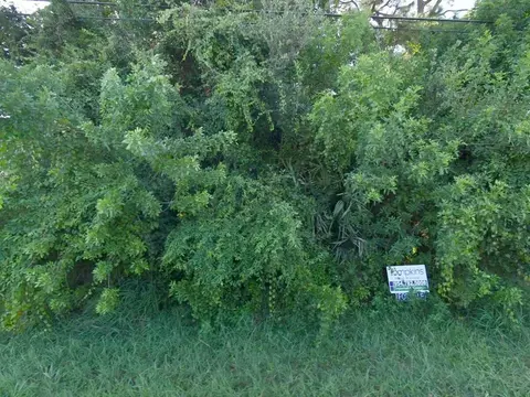 541 SW Cherryhill Rd, Port St Lucie, FL 34953