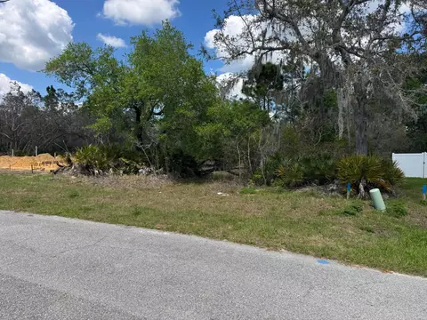 1625 Pickerel Ct, Poinciana, FL 34759