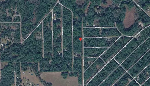 141 E Boundary Dr, Georgetown, FL 32139 photo 3