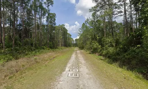 141 E Boundary Dr, Georgetown, FL 32139 photo 2