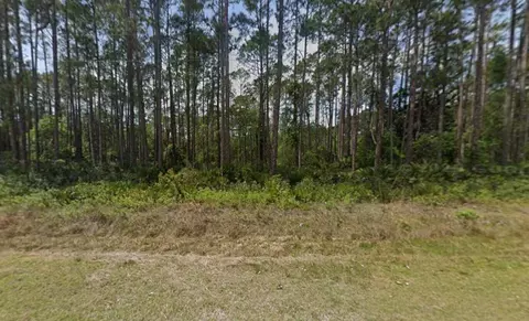 141 E Boundary Dr, Georgetown, FL 32139