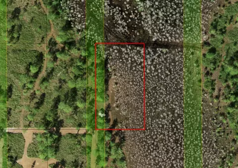 0 Holopaw Groves Rd, Saint Cloud, FL 34772