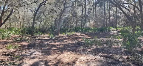 119 Gardenia Ave, Georgetown, FL 32139