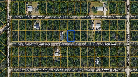 120 Gardenia Ave, Georgetown, FL 32139